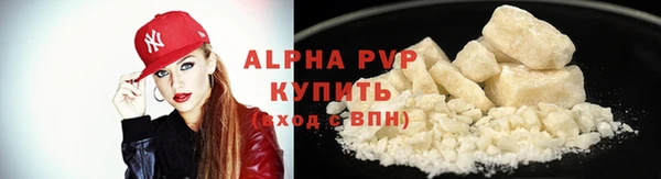 гидра Покачи