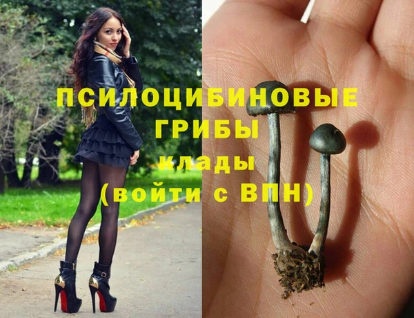 тгк Богданович