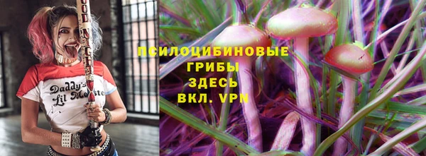 гидра Приозерск