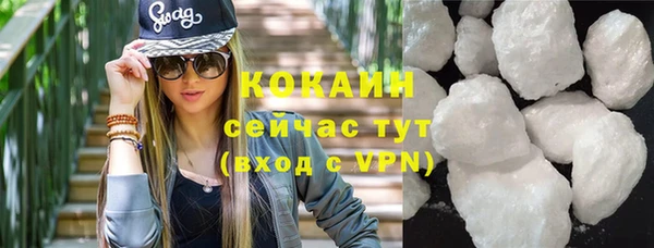 гидра Покачи