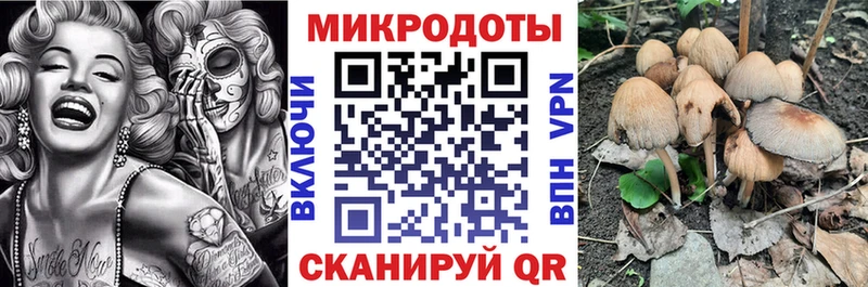 Псилоцибиновые грибы Psilocybine cubensis  Северская 